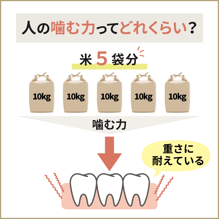奥歯のインプラントの必要性 インプラントなら大阪 関西の筒井歯科